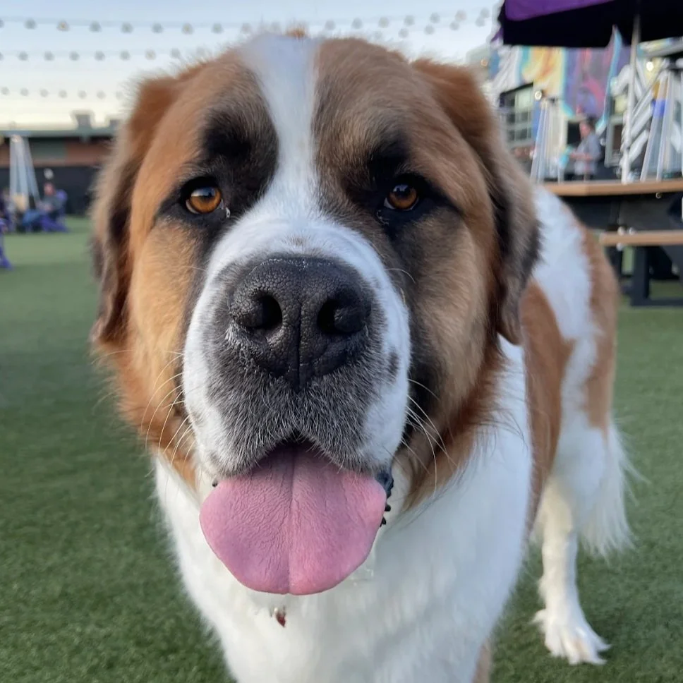 Screenshot 2025-04-02 at 12.16.03 PM.jpg