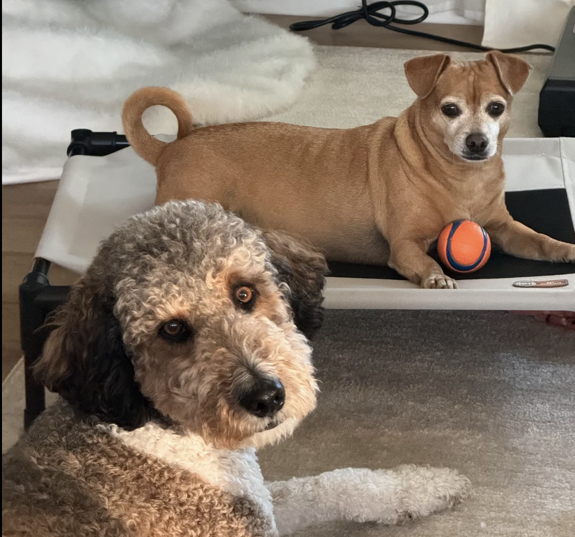 Screenshot 2025-04-02 at 12.21.23 PM.png