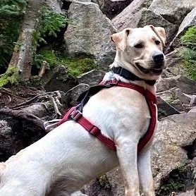 Screenshot 2025-04-02 at 12.19.30 PM.jpg