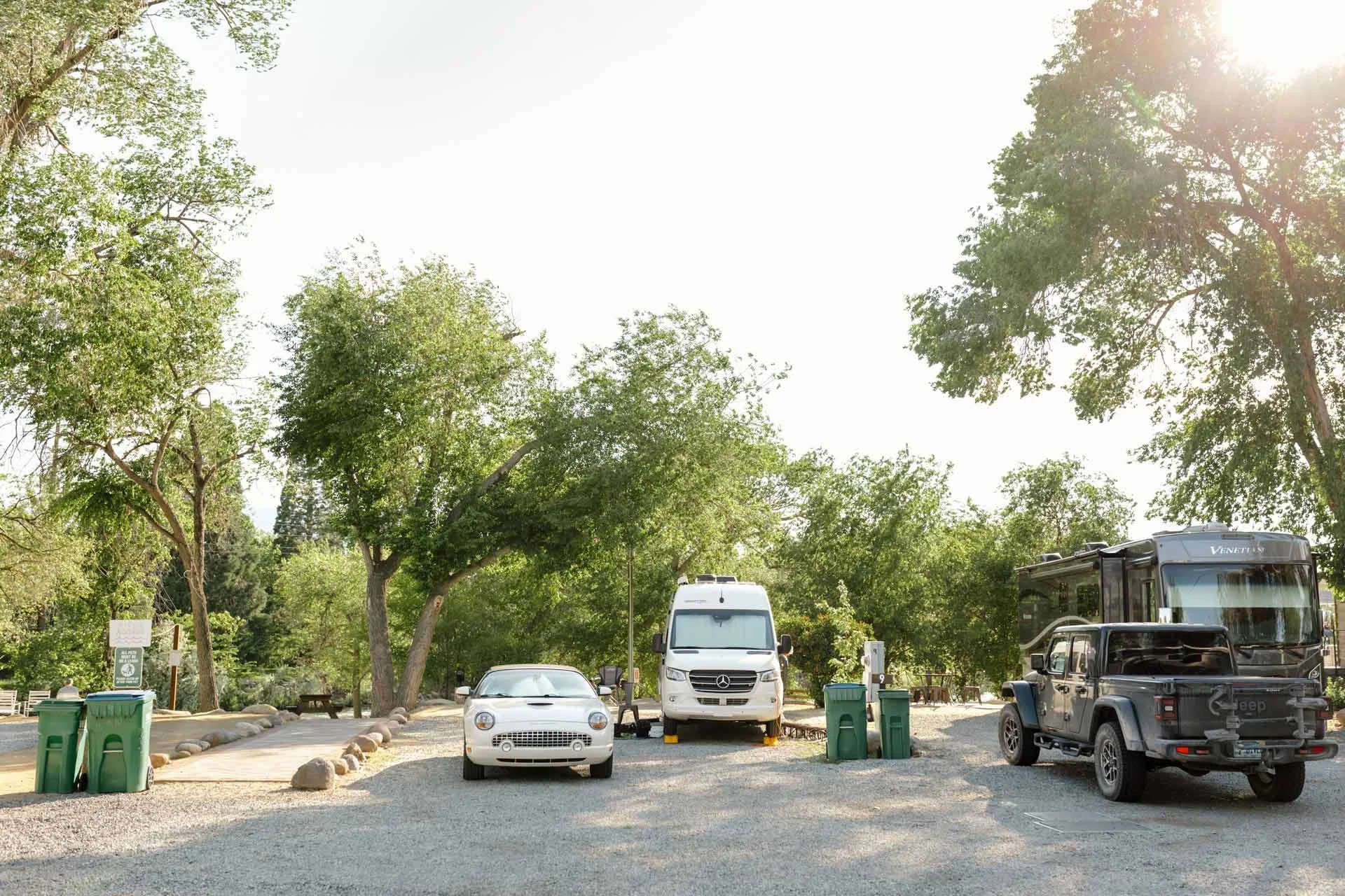multiple-vehicles-parked-under-green-trees-near-the-river.jpg