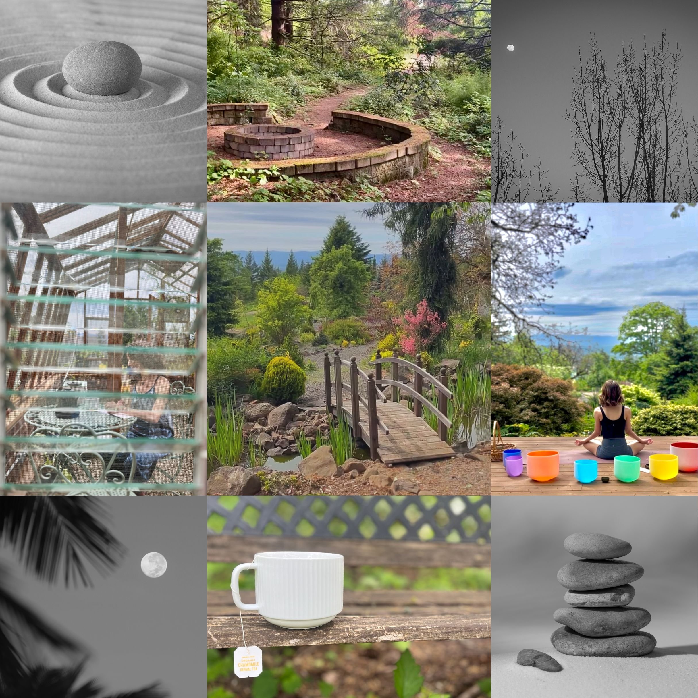 Rooted in the Moon Retreat