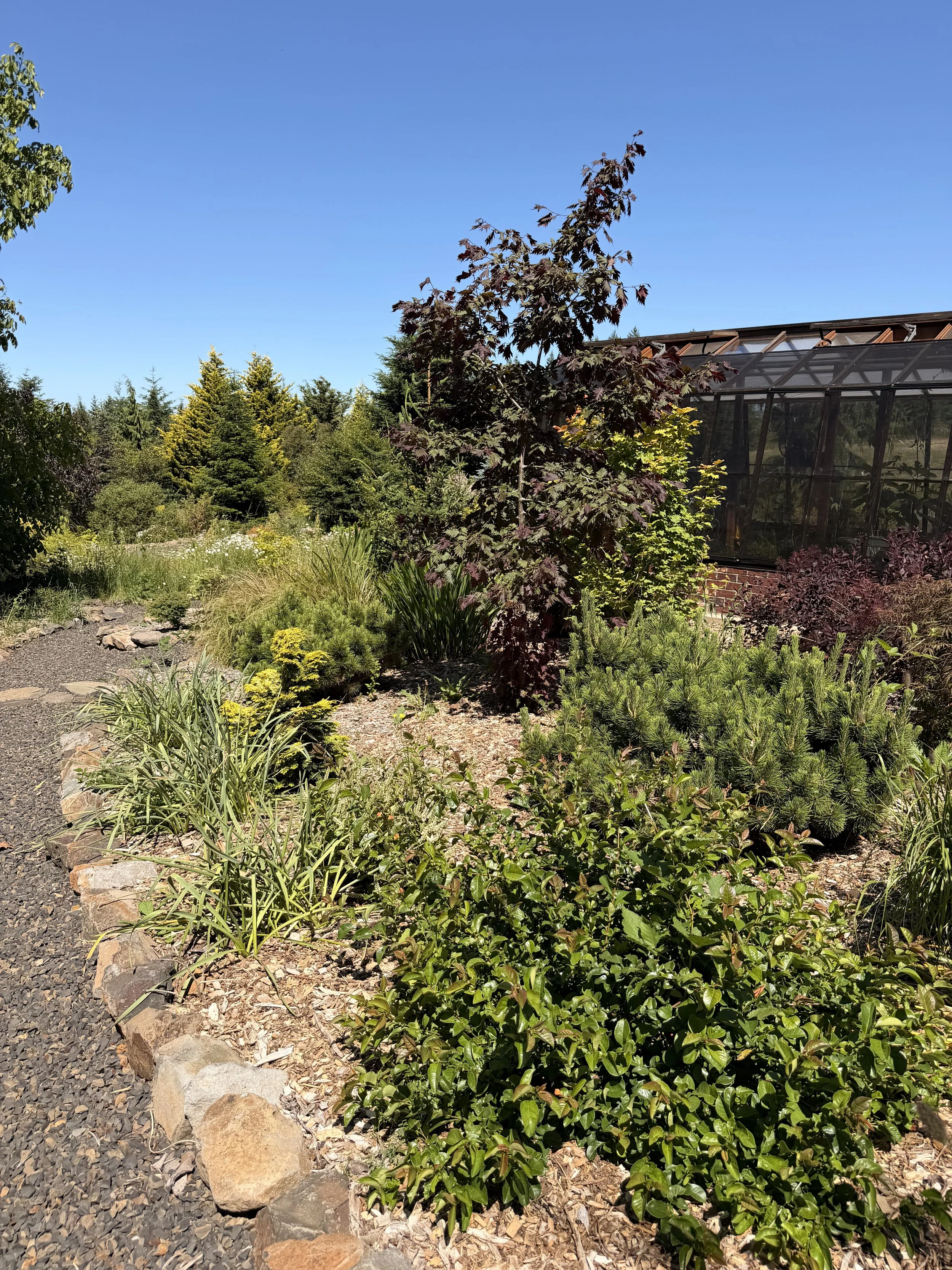 IMG_7904.jpeg