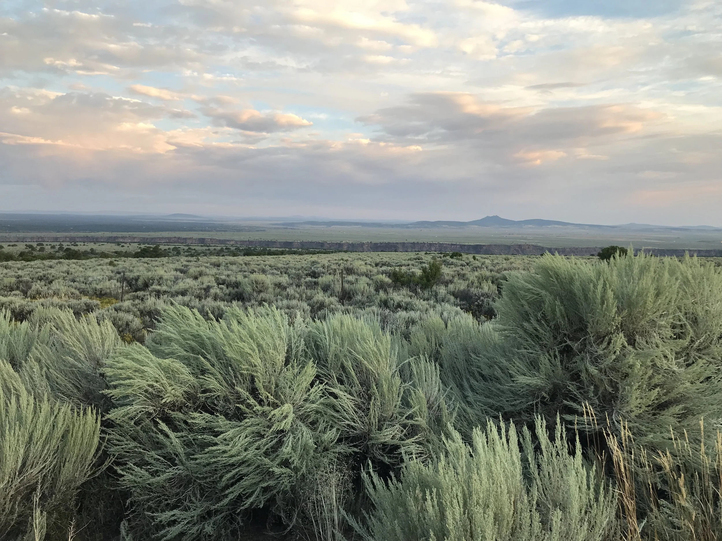 Landscape of desert sagebrush under a cloudy sky