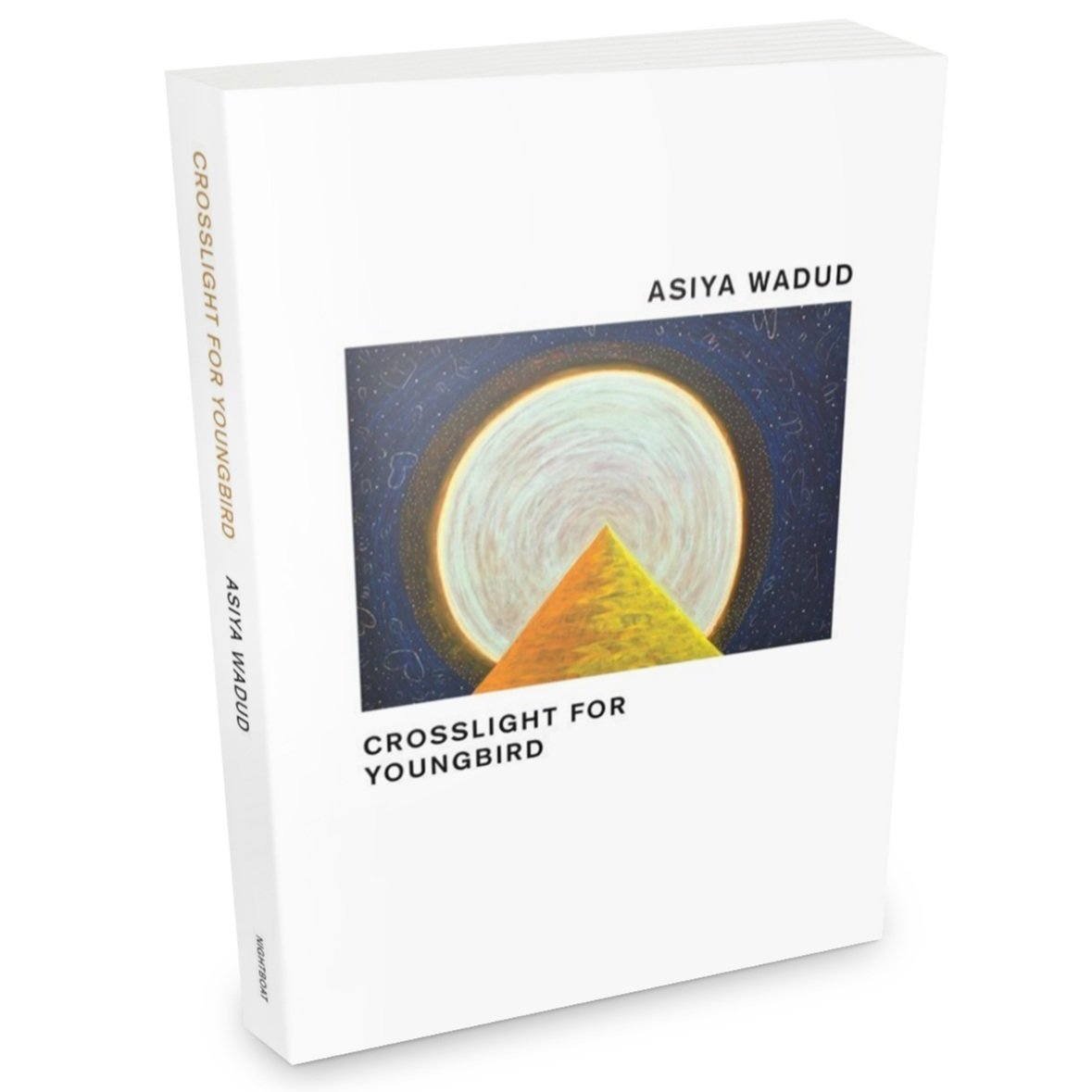 Crosslight for Youngbird