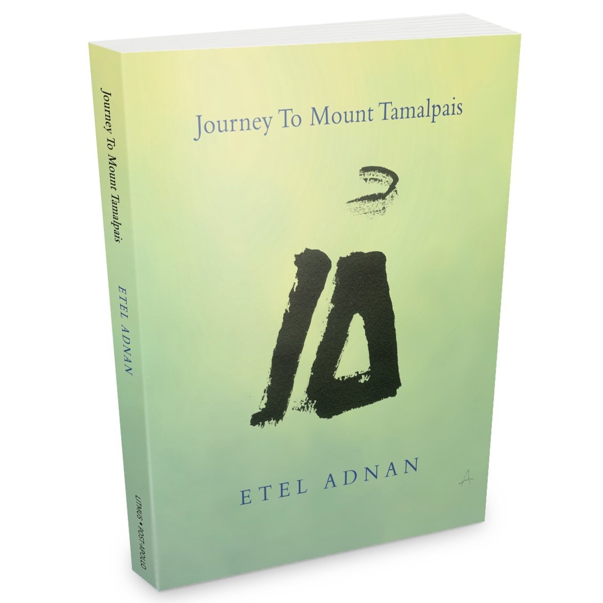 Journey to Mount Tamalpais