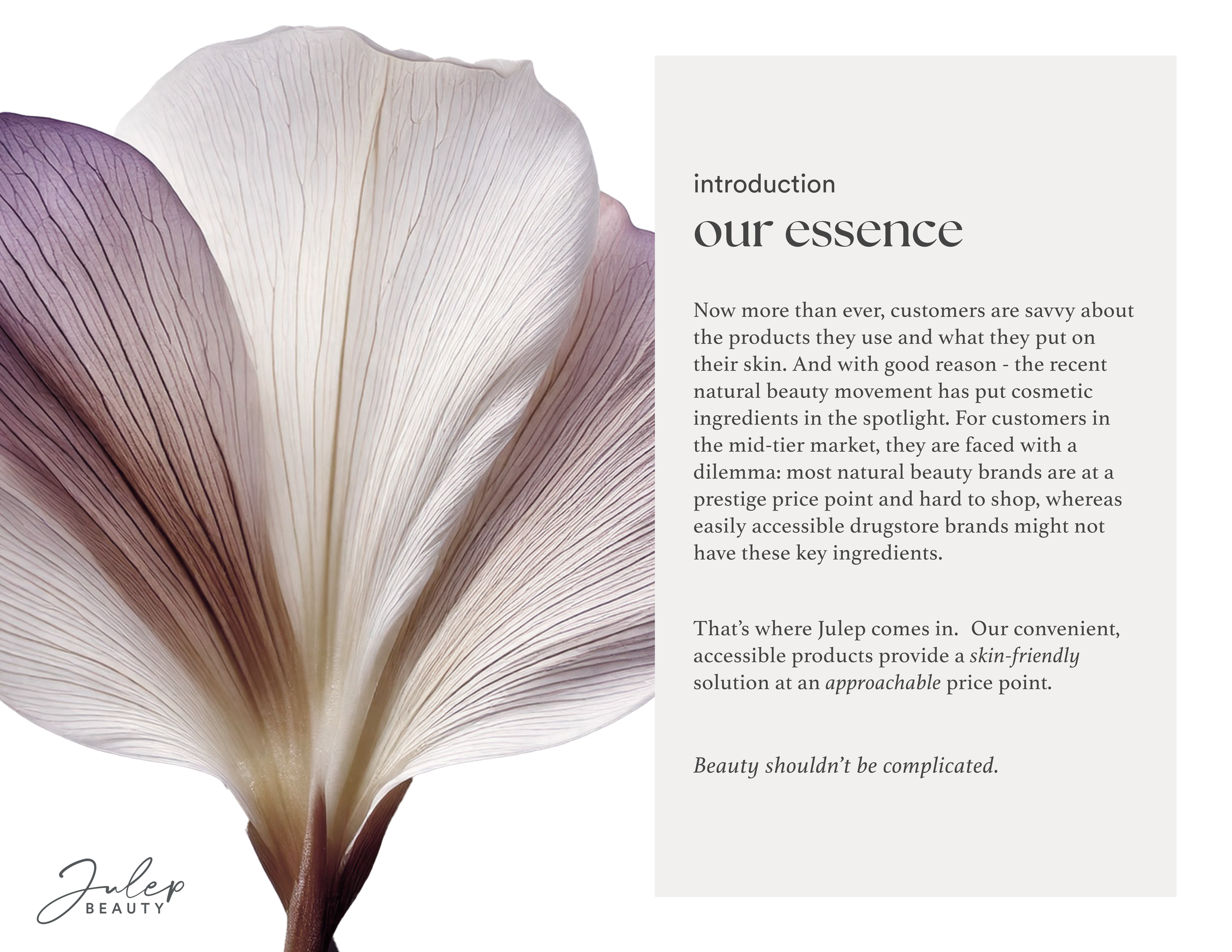 2 Julep Brand Guide - Our Essence.png