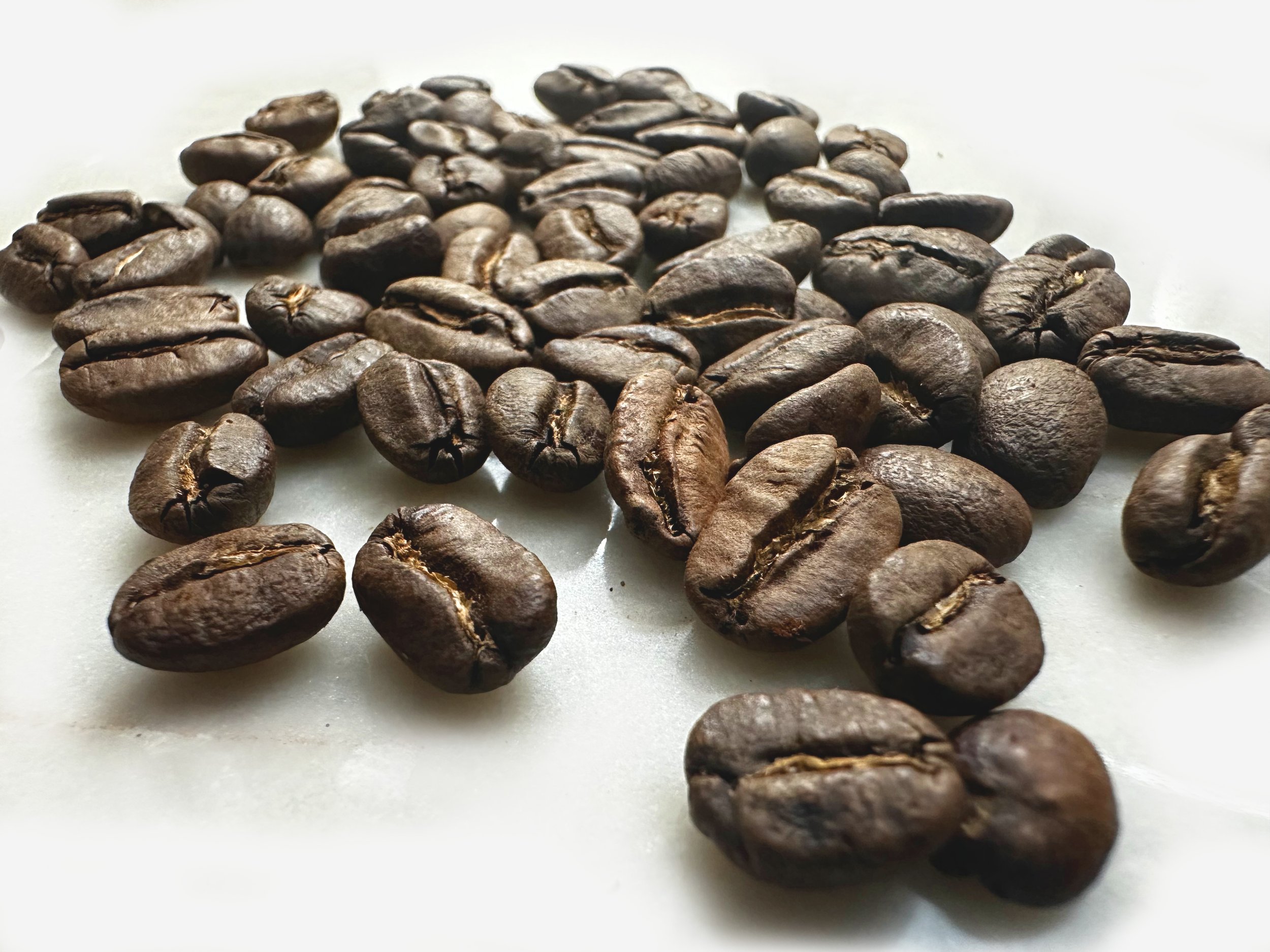 humbl Coffee WHOLE BEAN award winner.jpg