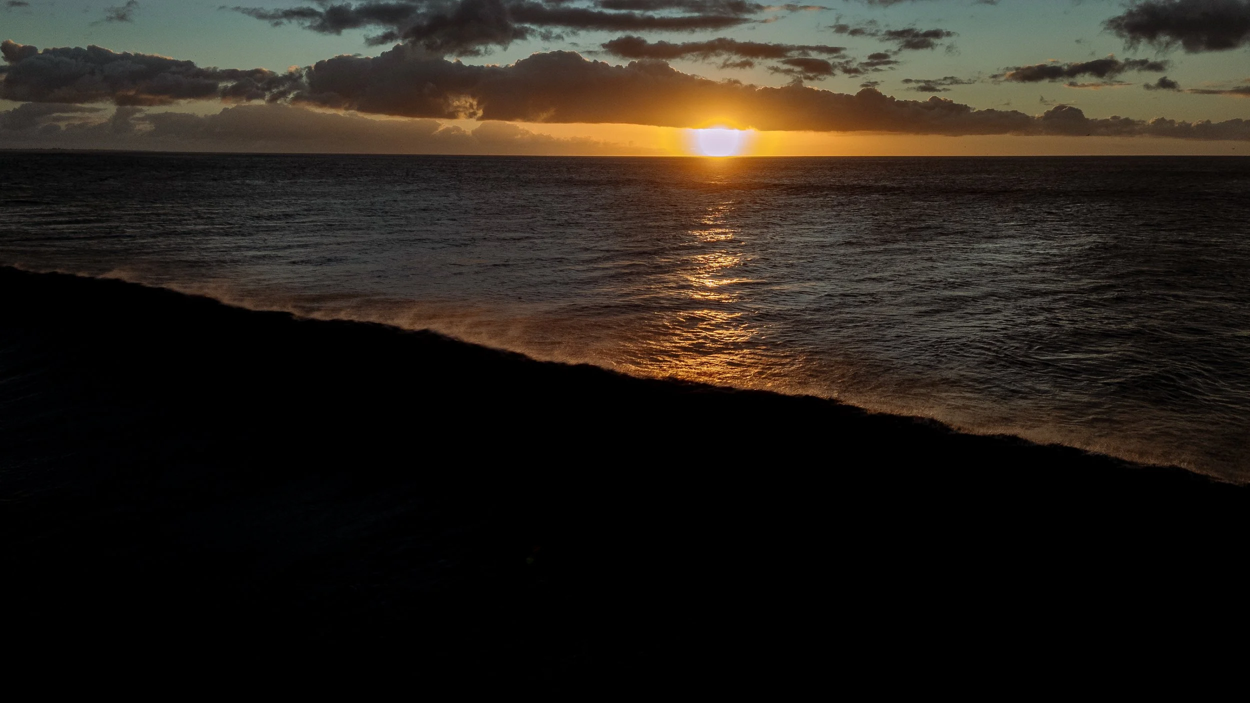 christmas island -1573.jpg