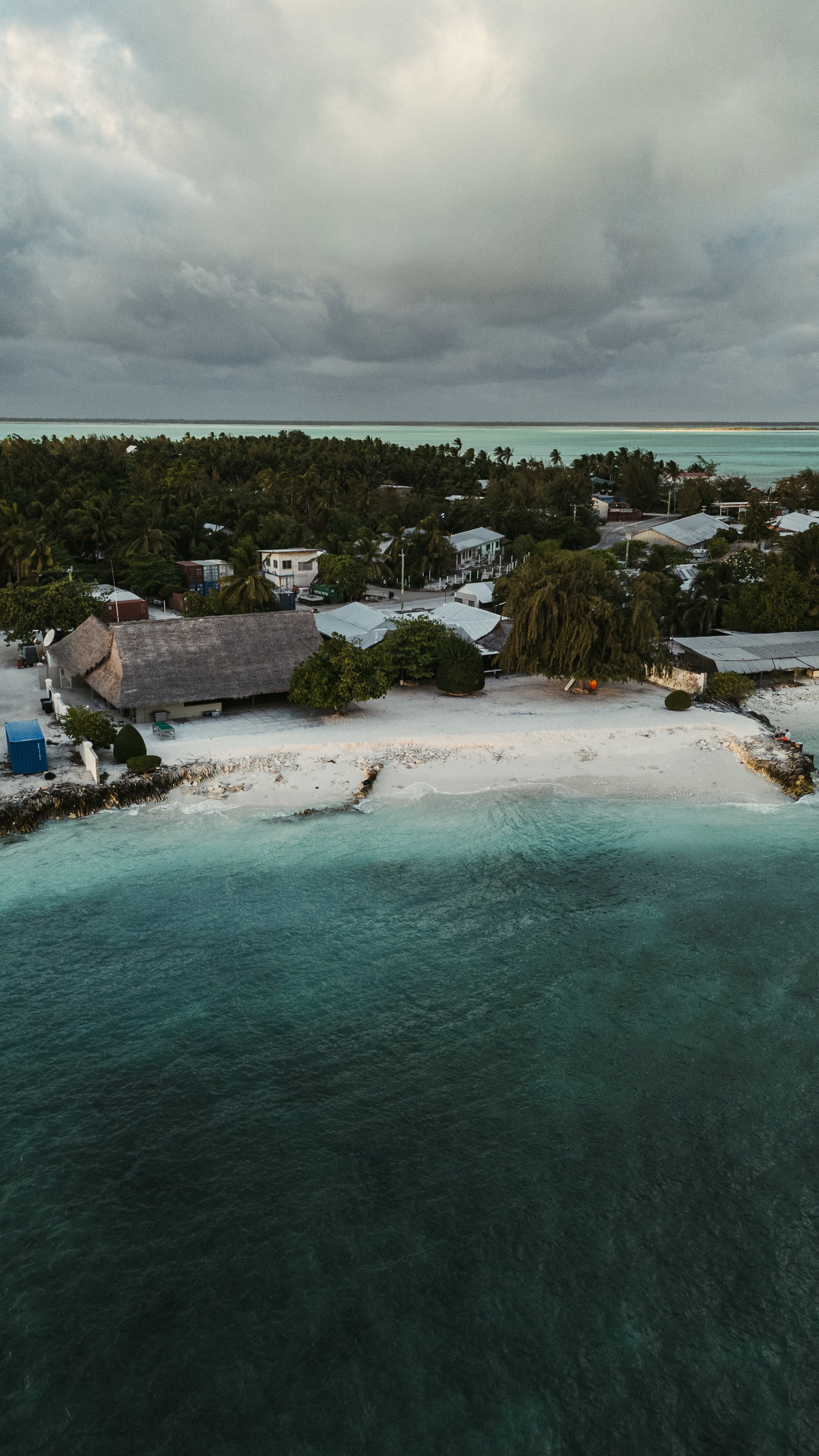 christmas island -1531.jpg