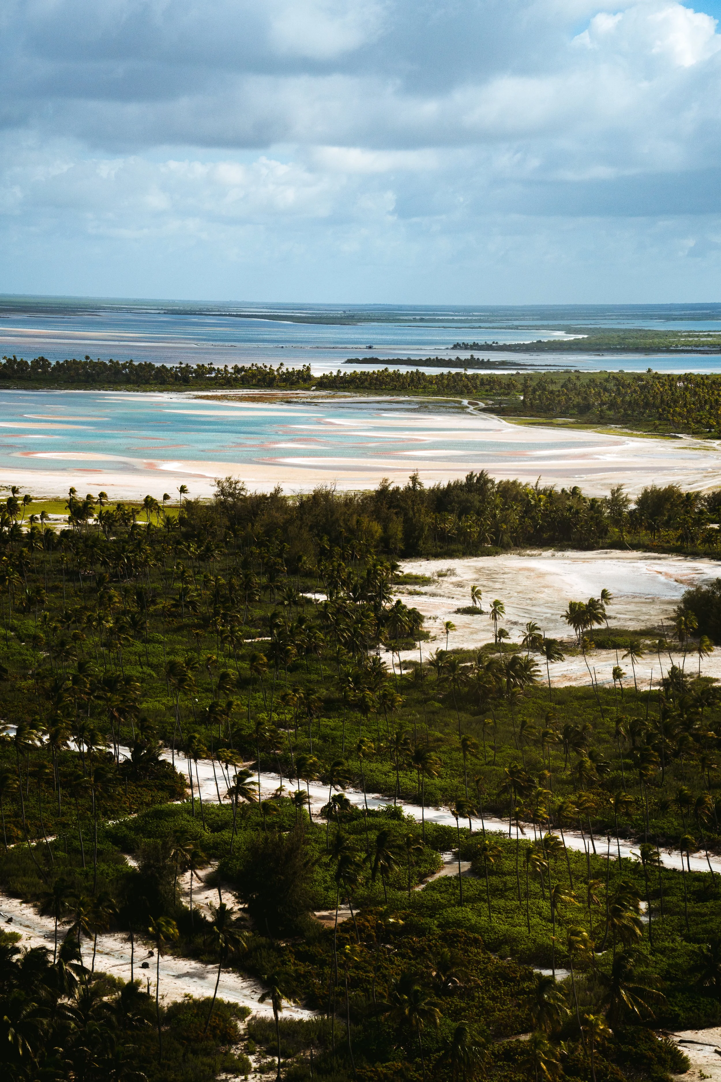 christmas island -1758.jpg
