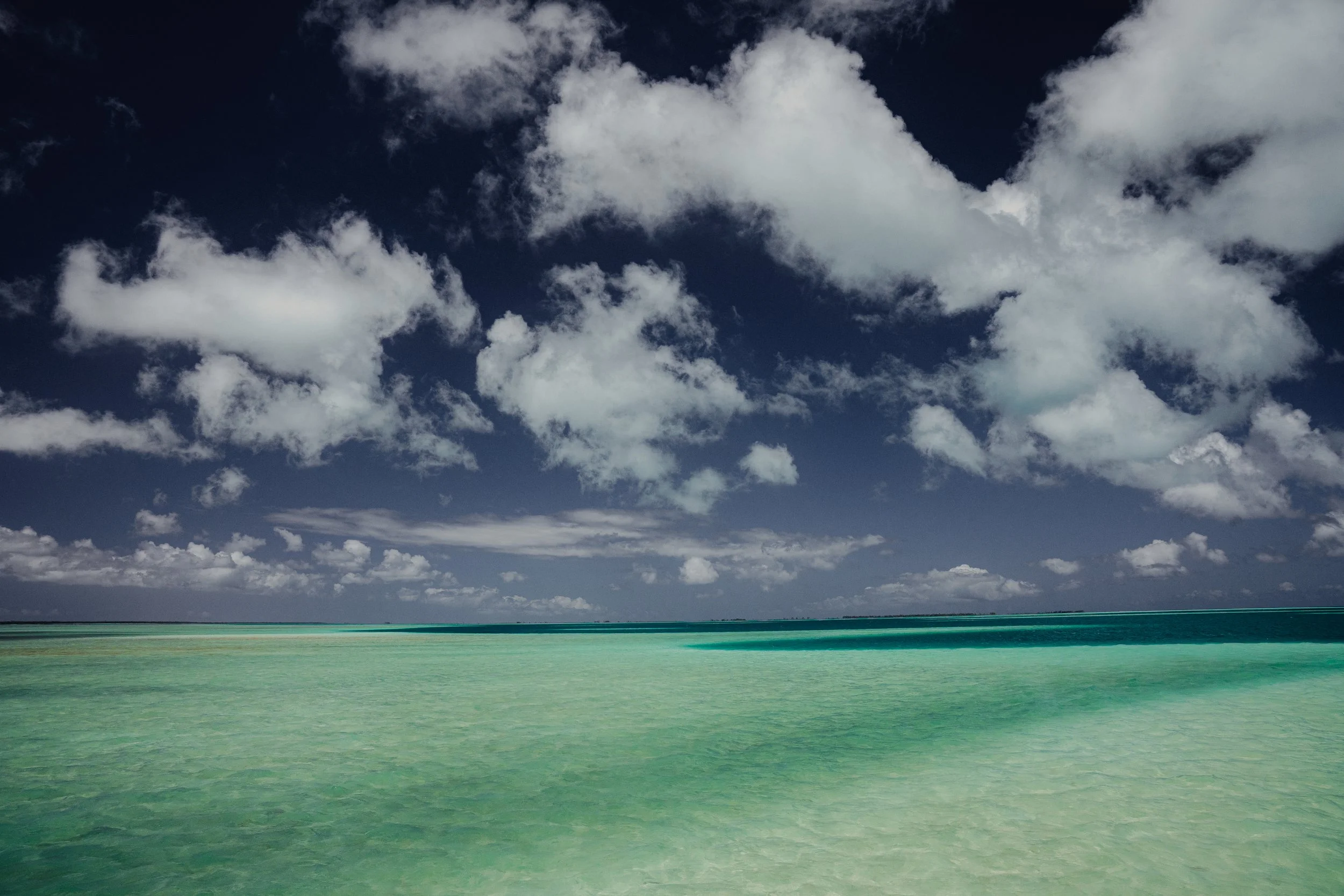christmas island -1276.jpg