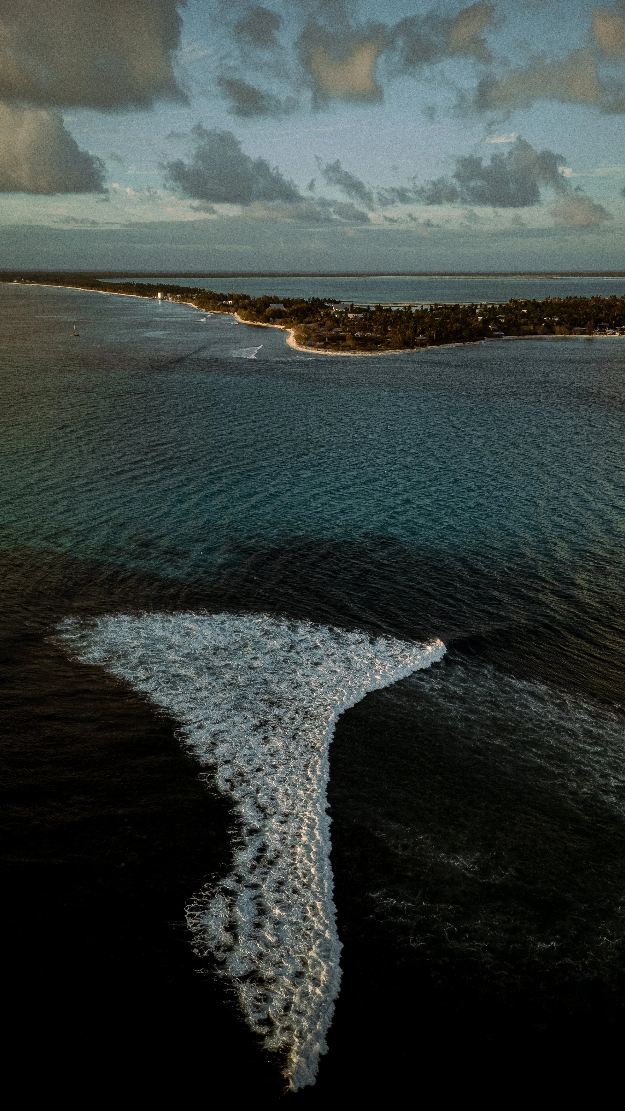 christmas island -1563.jpg