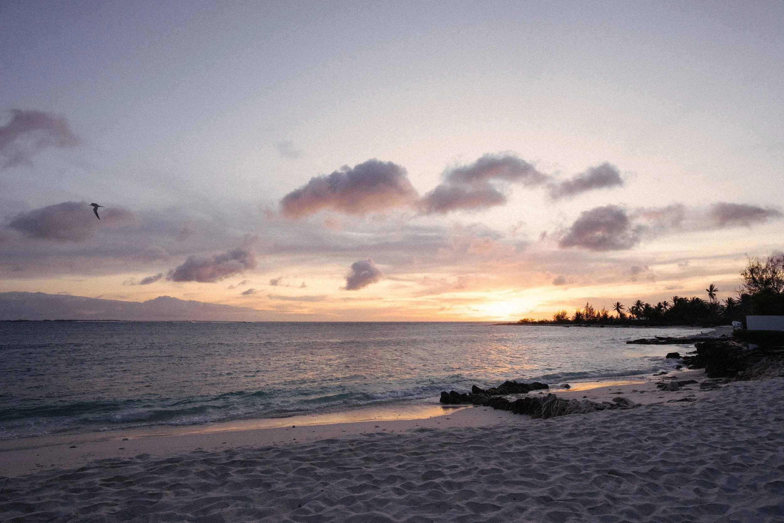 christmas island -1274.jpg