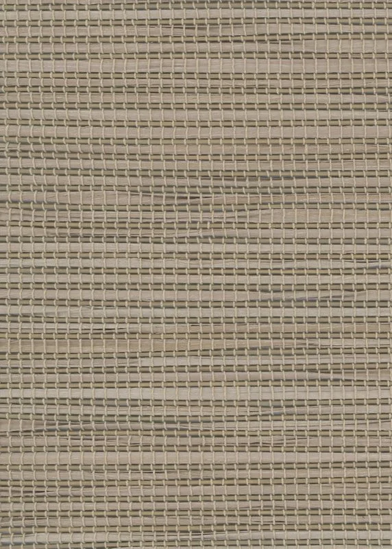 andros-birch-ws-v043