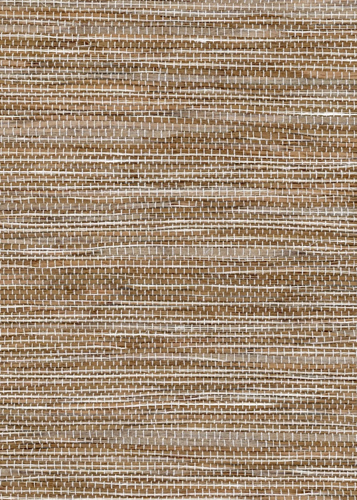 Jettie-Ginger-Snap-ZH-79D