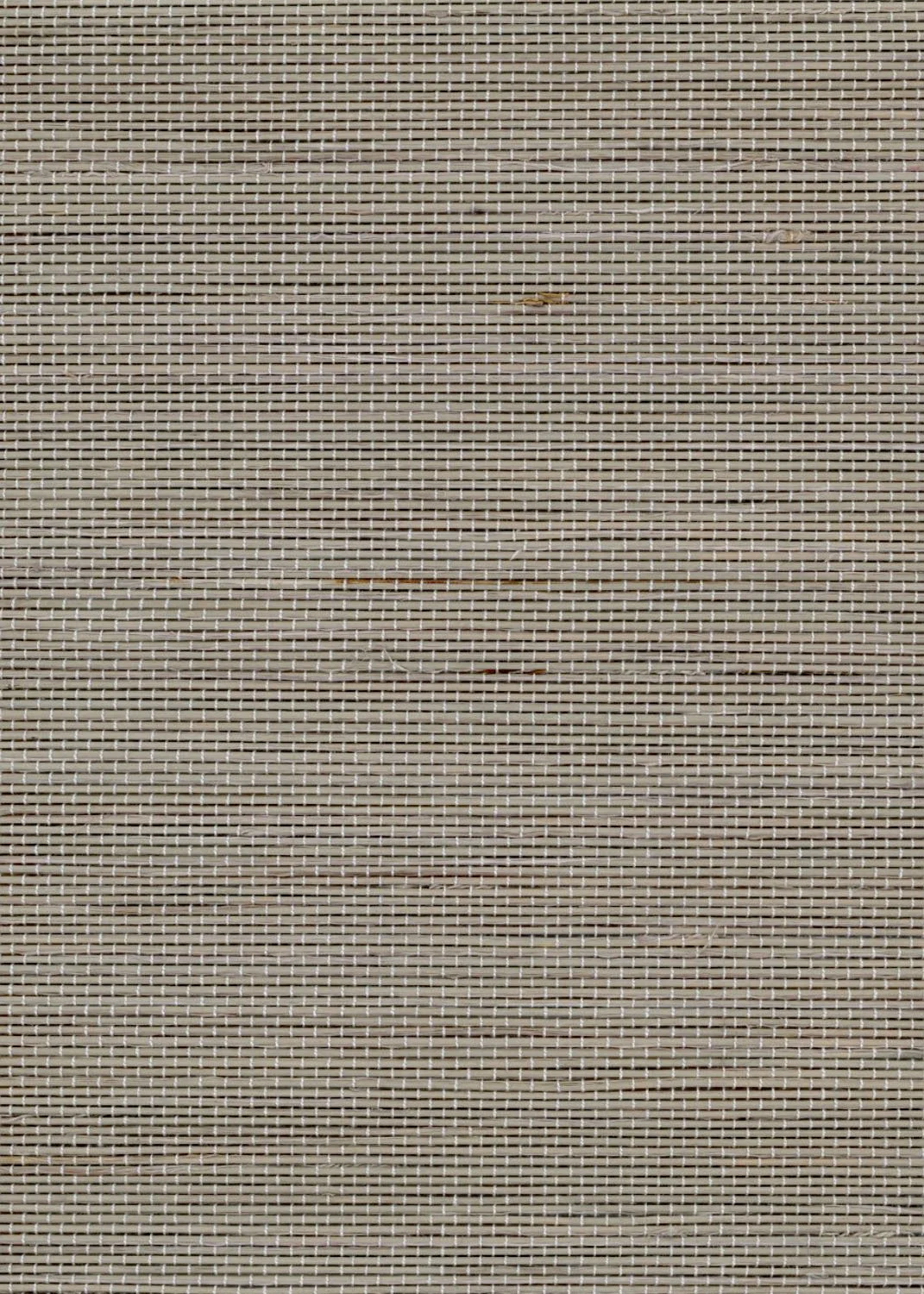 Nael-Lavender-Mist-ZH-624