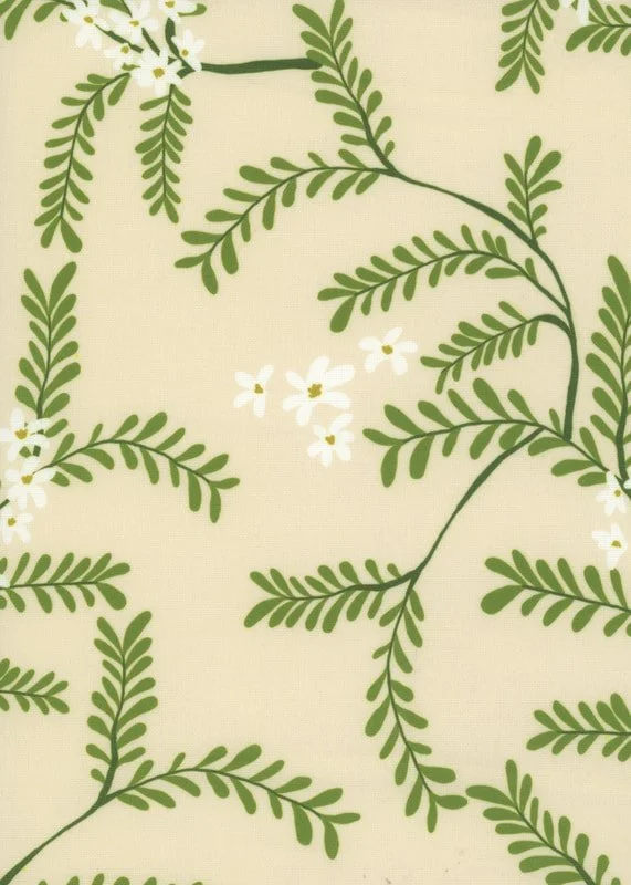 cassia-kiwi-css01_orig