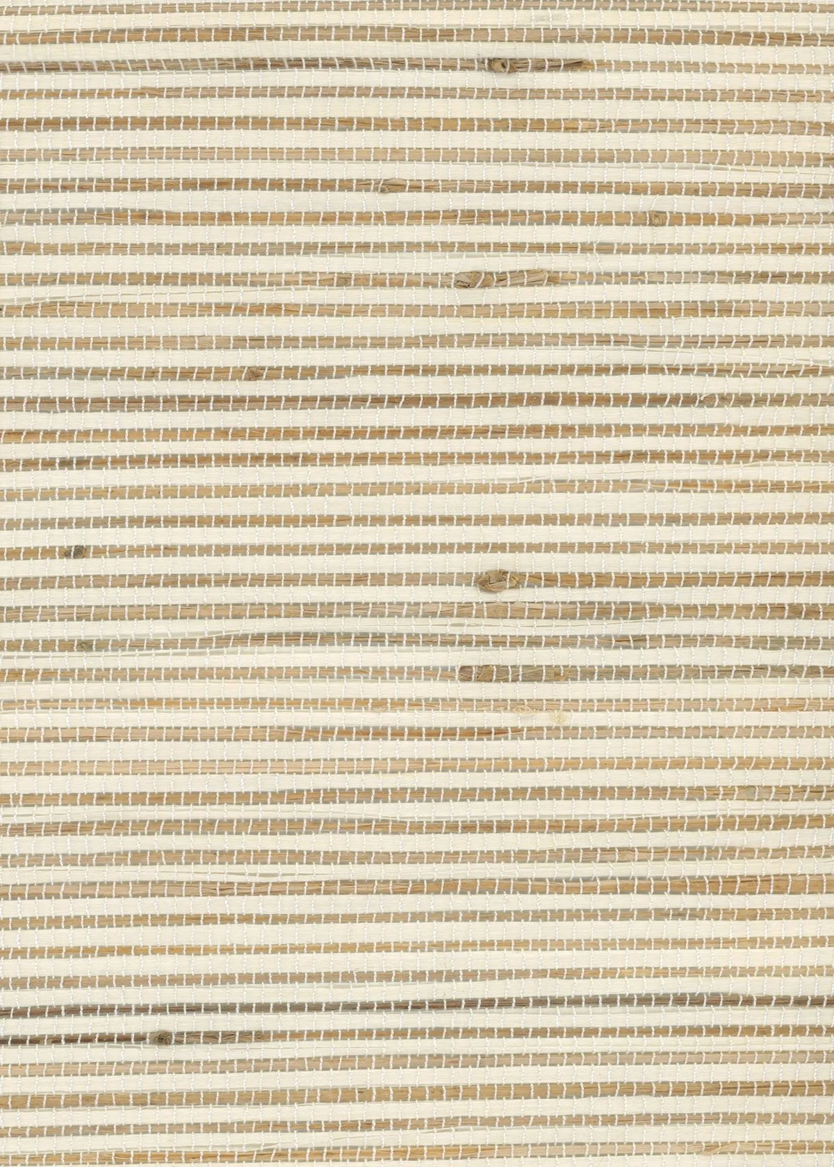 Aucoin-White-Sand-ZH-49B