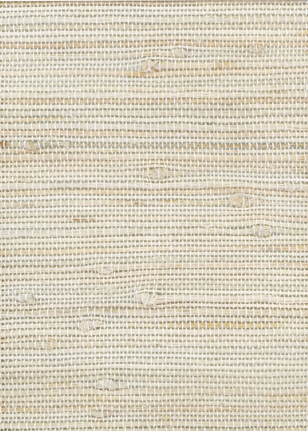 Duval-Coconut-ZH-R1A