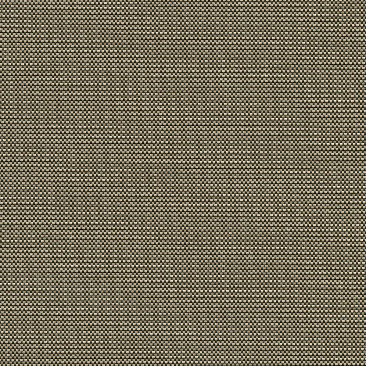 2410 3% V32 Charcoal-Alpaca