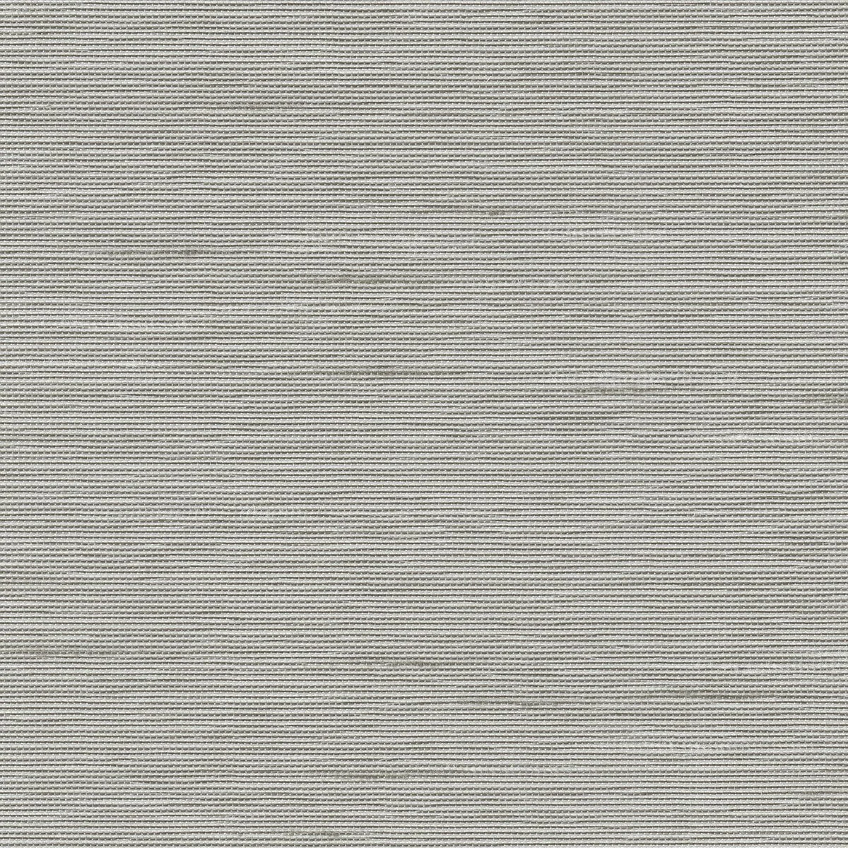 MOMBASSA-0200-Oyster