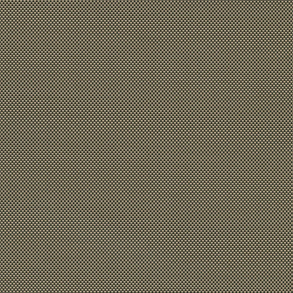 2390 5% V32 Charcoal-Alpaca