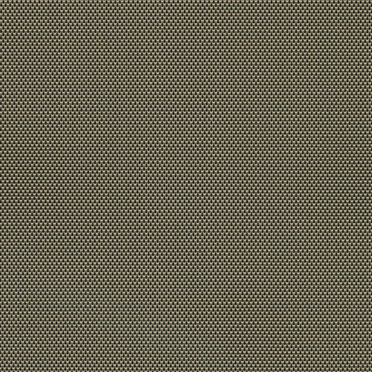 2360 10% V32 Charcoal-Alpaca