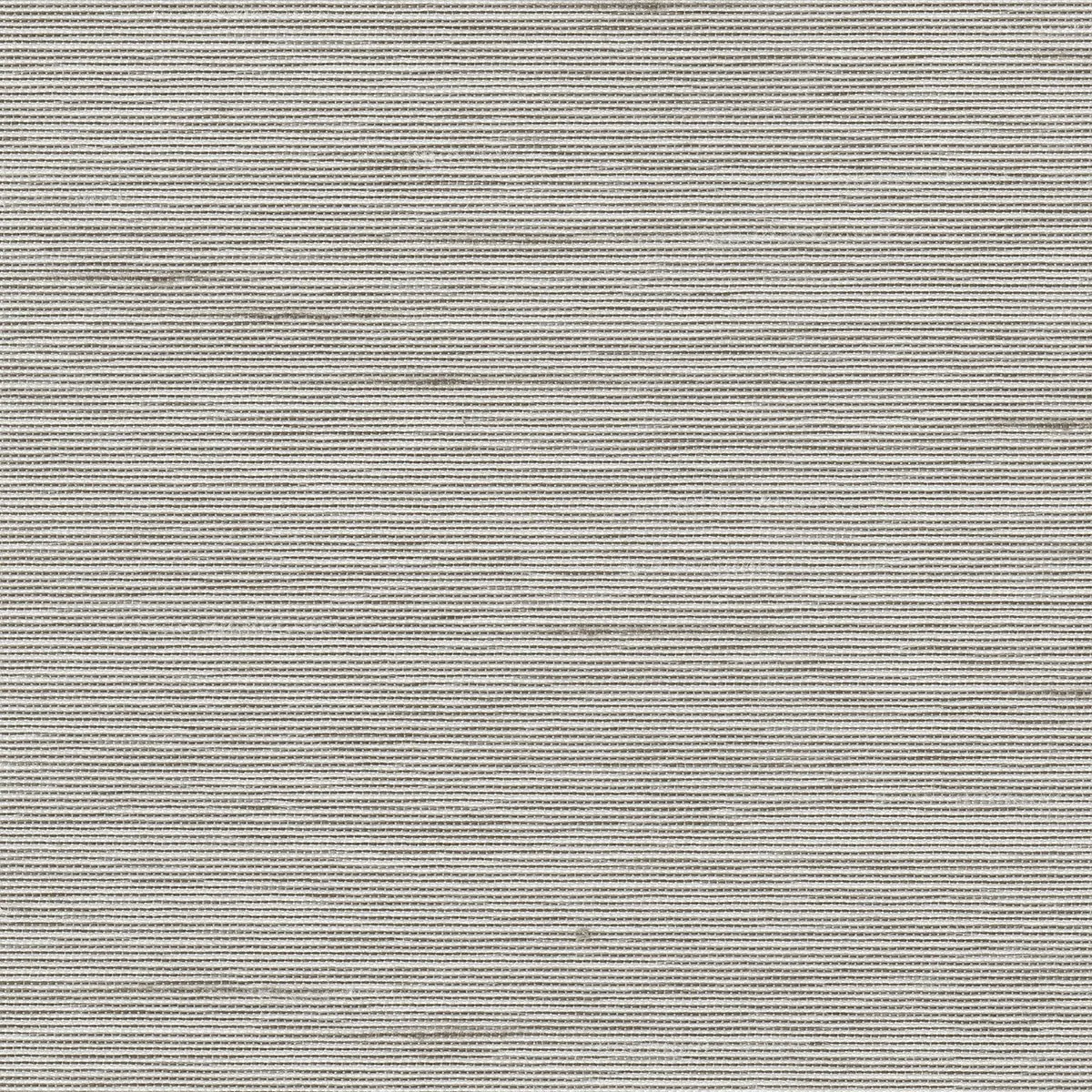 MOMBASSA-5200-Oyster