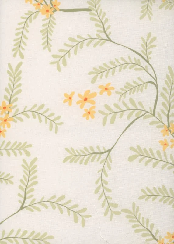 cassia-zest-css02_orig