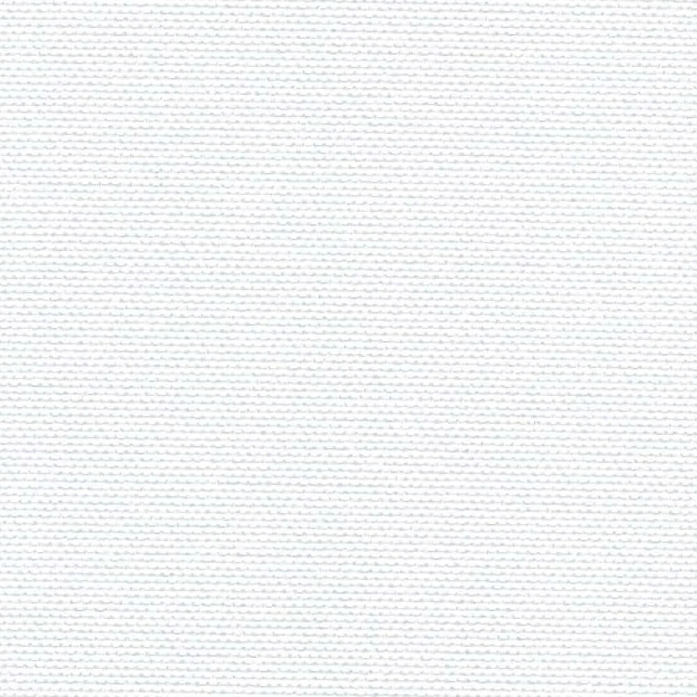 Palm Beach Black Out-Lyric 02