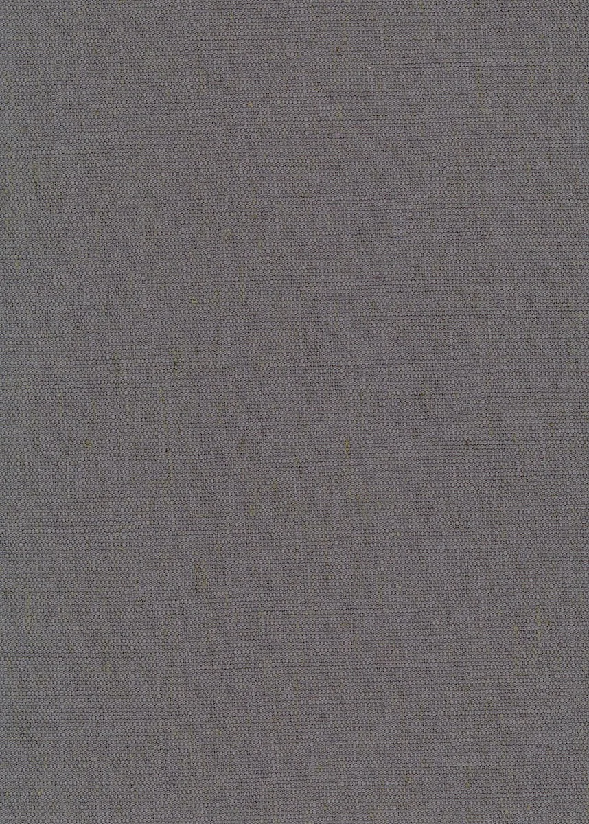 alese-iron-ase02_orig