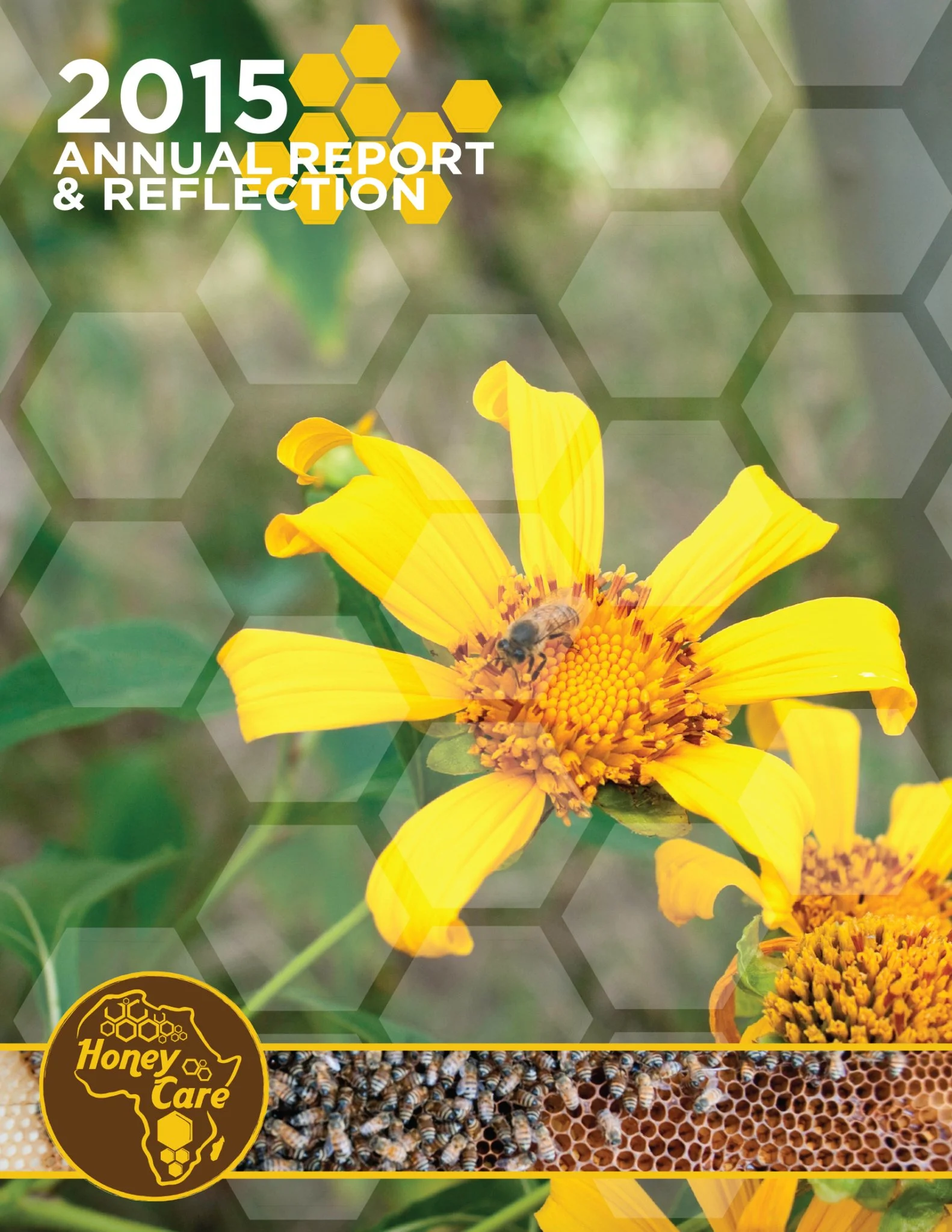 honey-care-africa-annual-report-2015.jpg