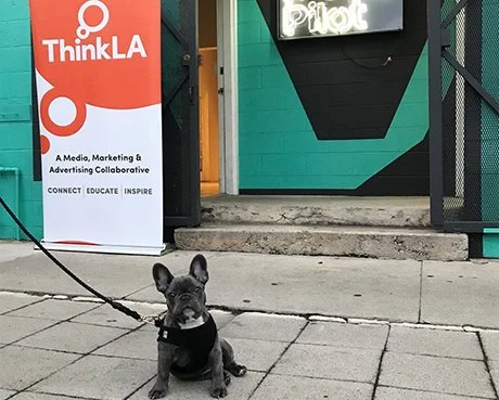 thinkla-movie-pilot.jpg