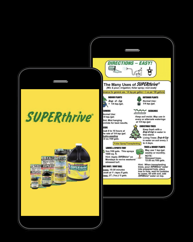 SUPERthrive mobile website layout