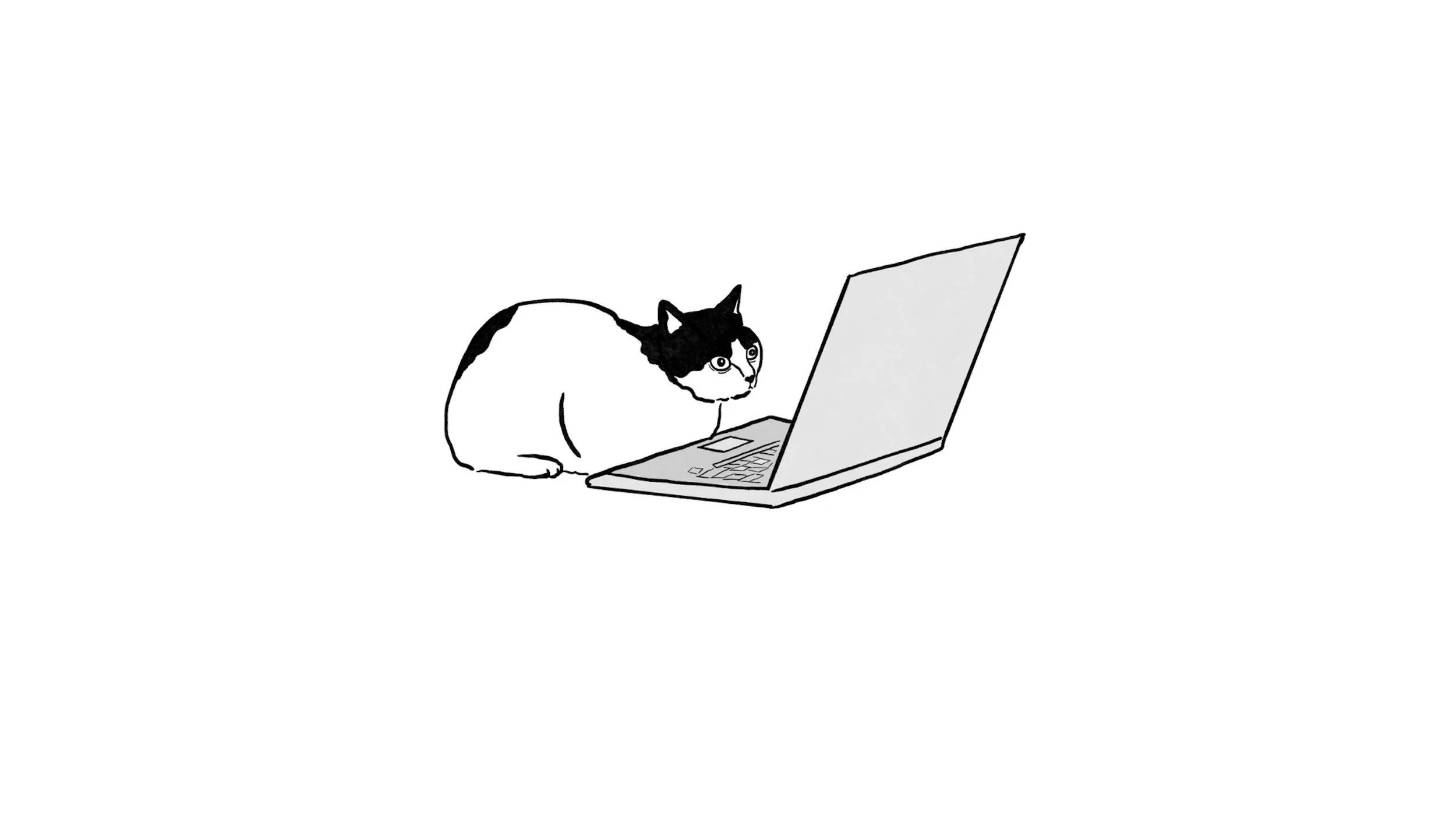 A cat is on a computer. The cat is Gen Z.