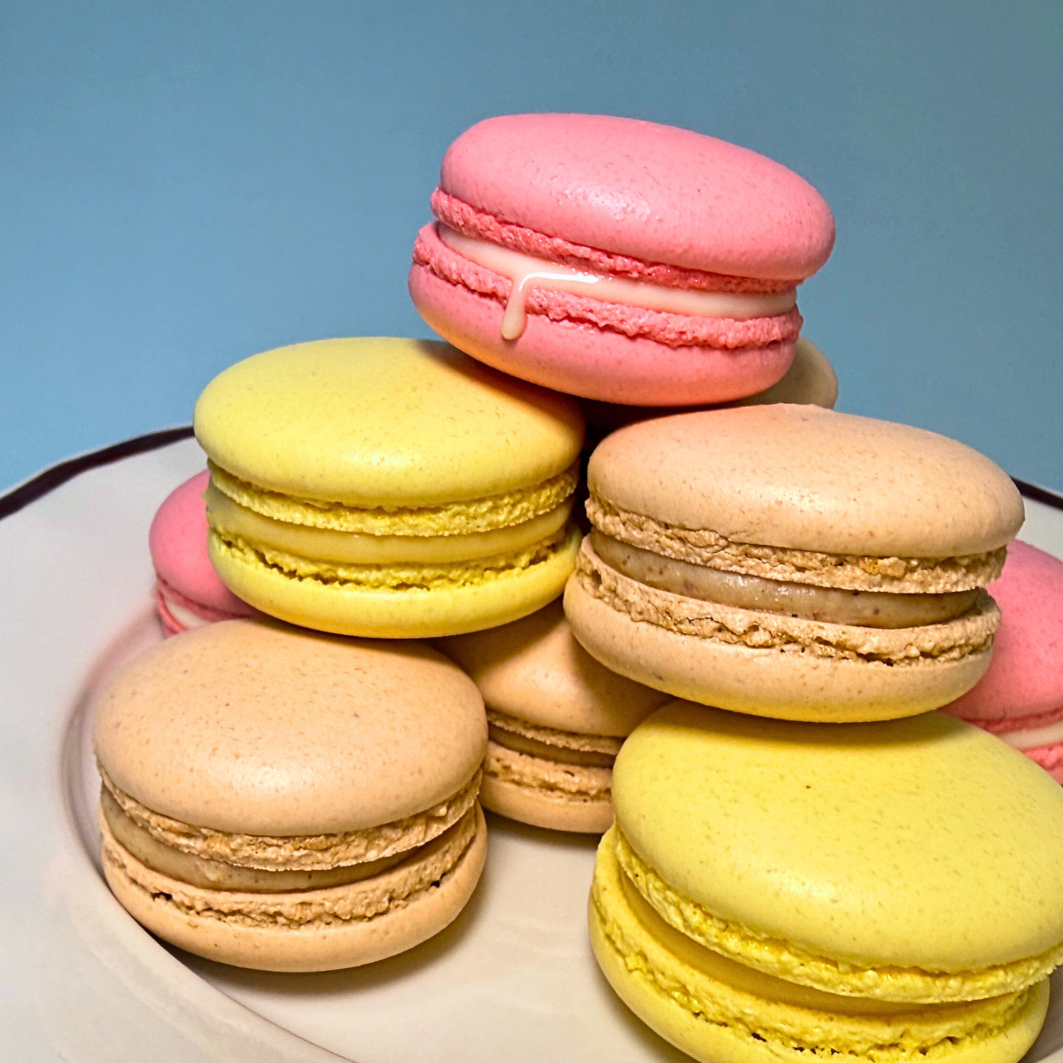 Macaron - SOLD OUT