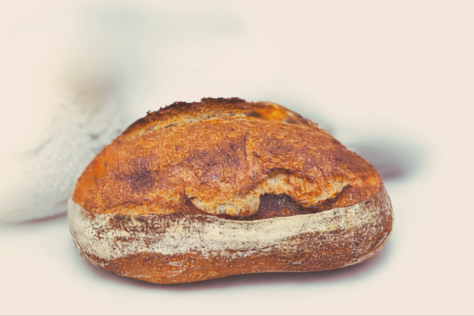 L'Atelier Pain de Campagne Share
