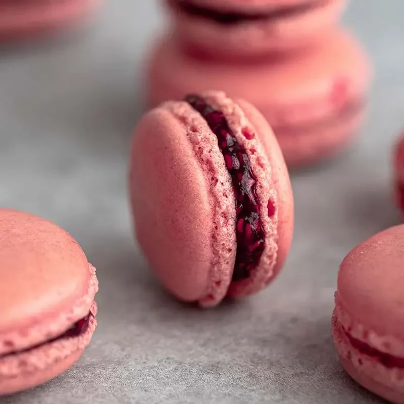 May 10, 2026 - Afternoon Macaron