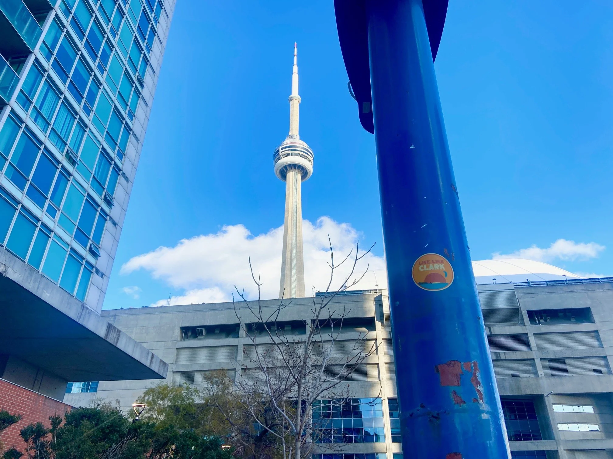 Toronto, Canada  |  November 2025  |  Alison Bricker