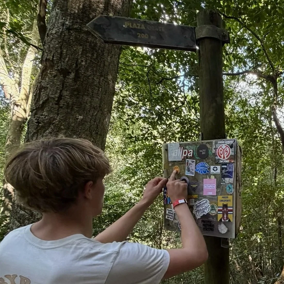 Tikal, Guatemala  |  February 2026  |  Carter Kotula