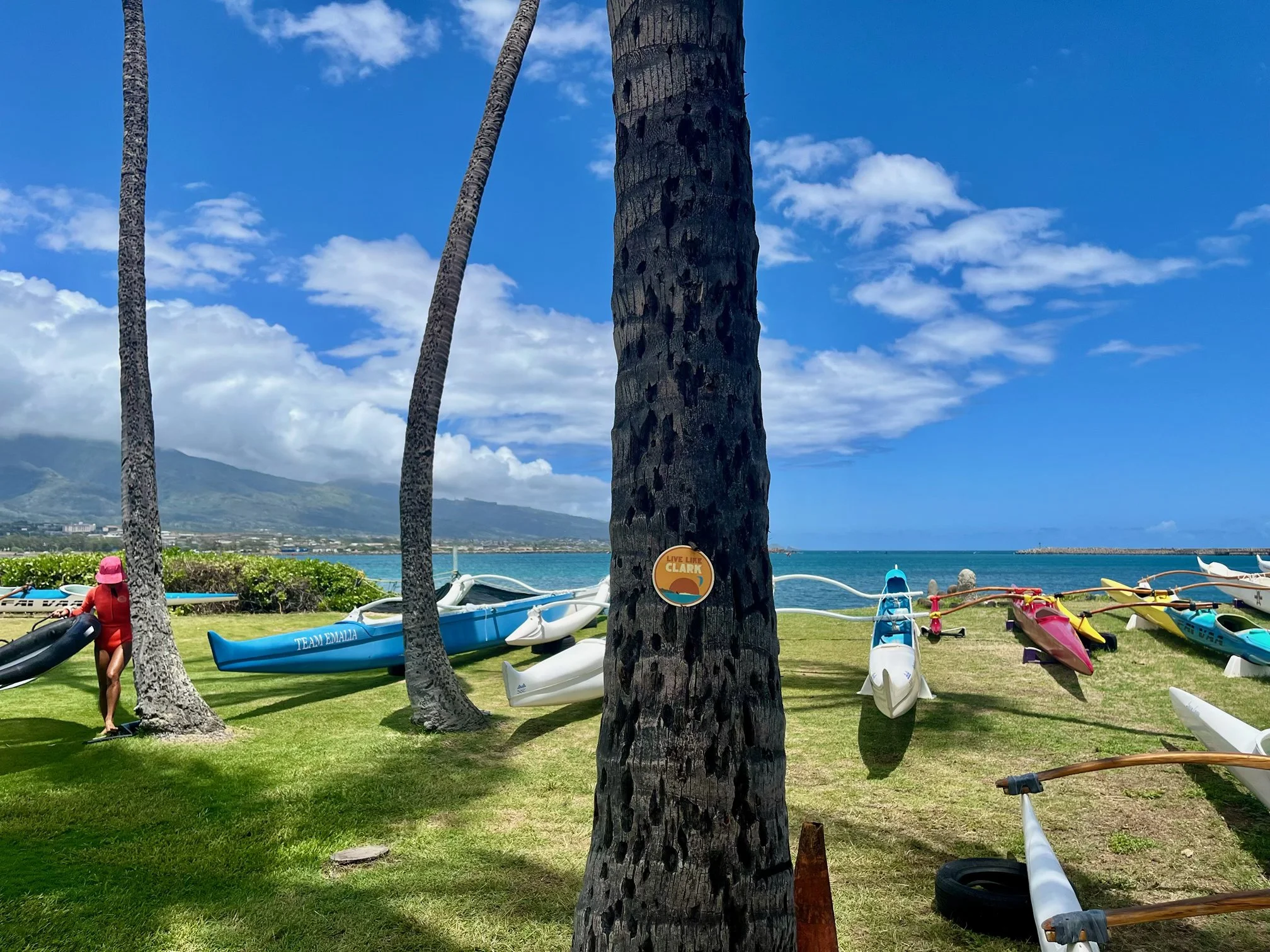 Maui Harbor | April 2025 | Gail & Matt Esh
