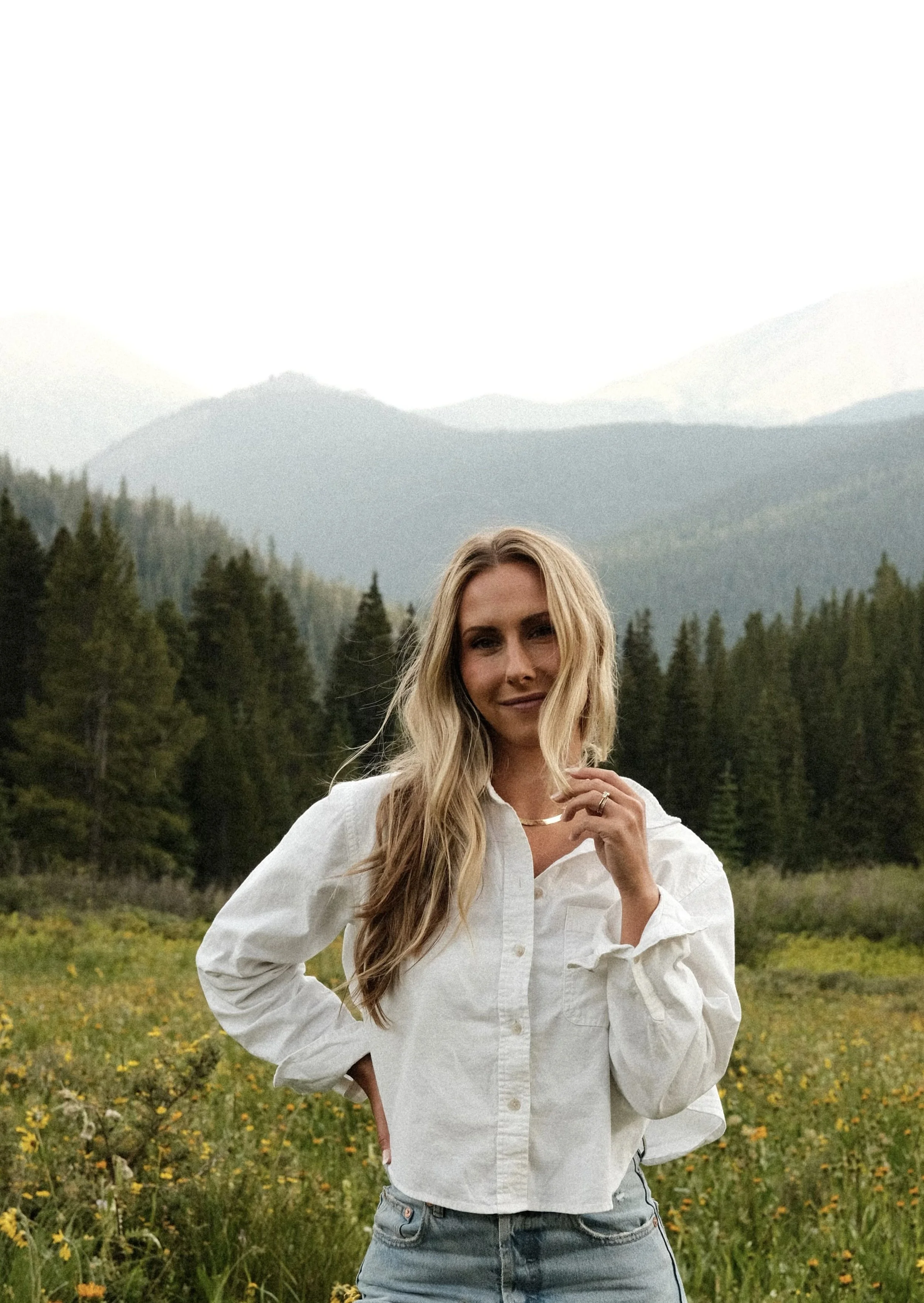 Emily Desrosiers Interior Designer Summit County Colorado