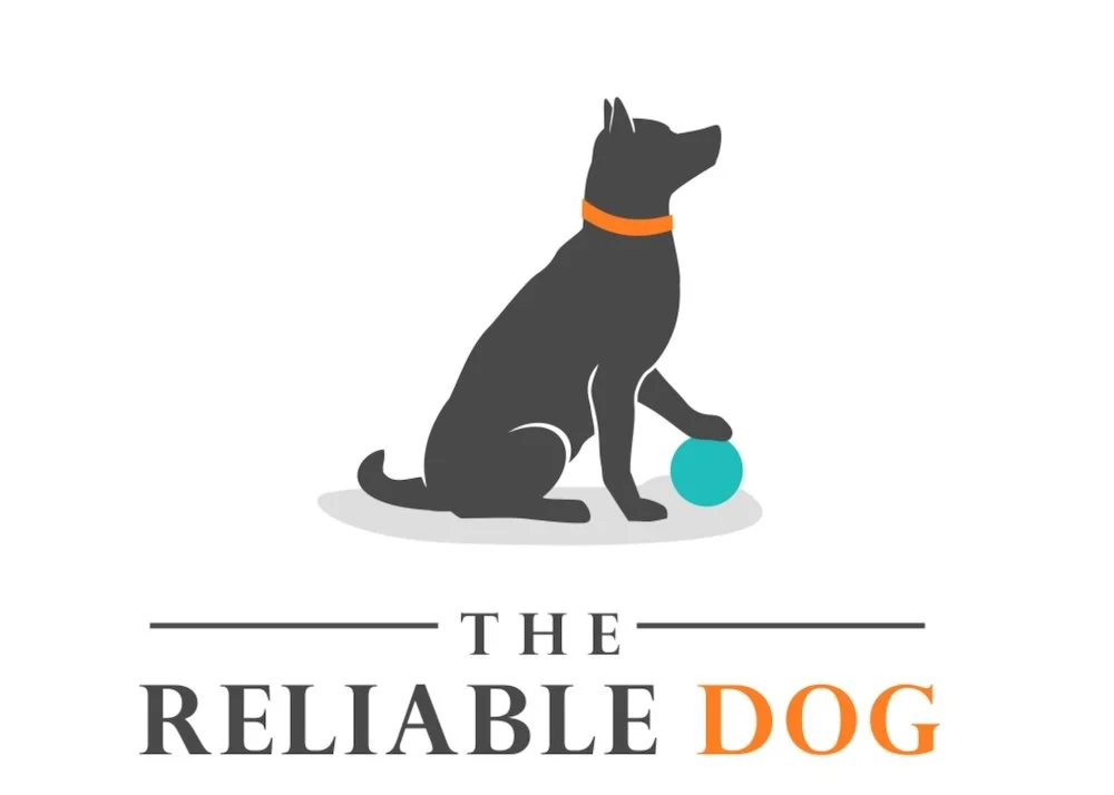 The logo for a dog training business located in Falmouth, MA.