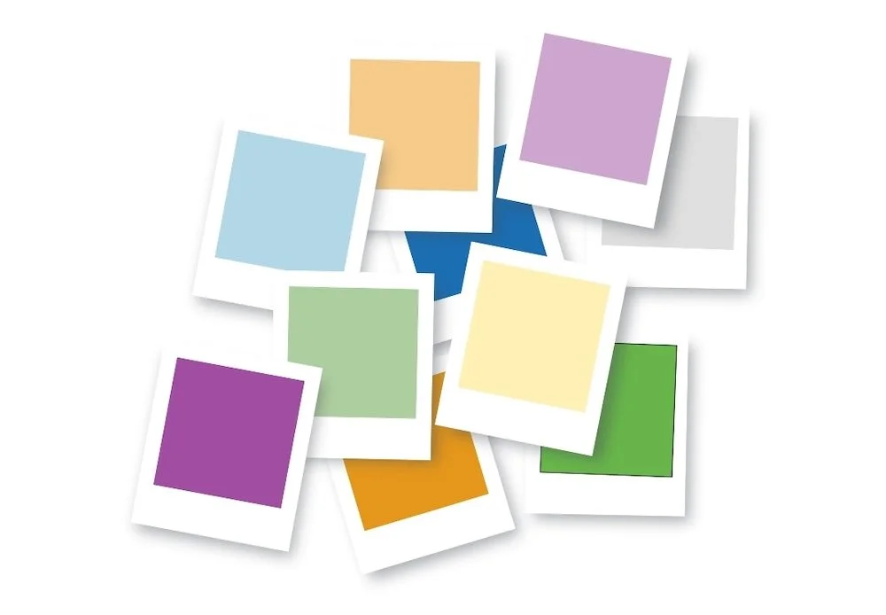Color palette swatches for Wordpress website redeign.