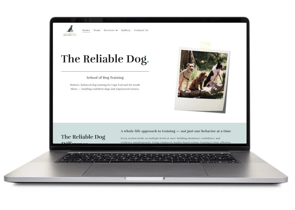 Modern homepage design by Massachusetts web designer displayed on a laptop.