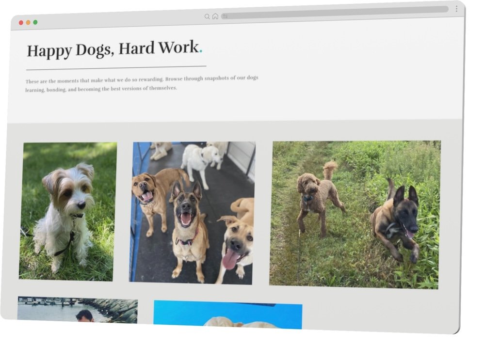 Gallery page designed by Massachusetts based Squarespace  web designer.