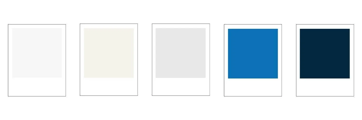 Color palette paint swatches showcasing the colors used in the Squarespace website design for a Charlton, MA based company.