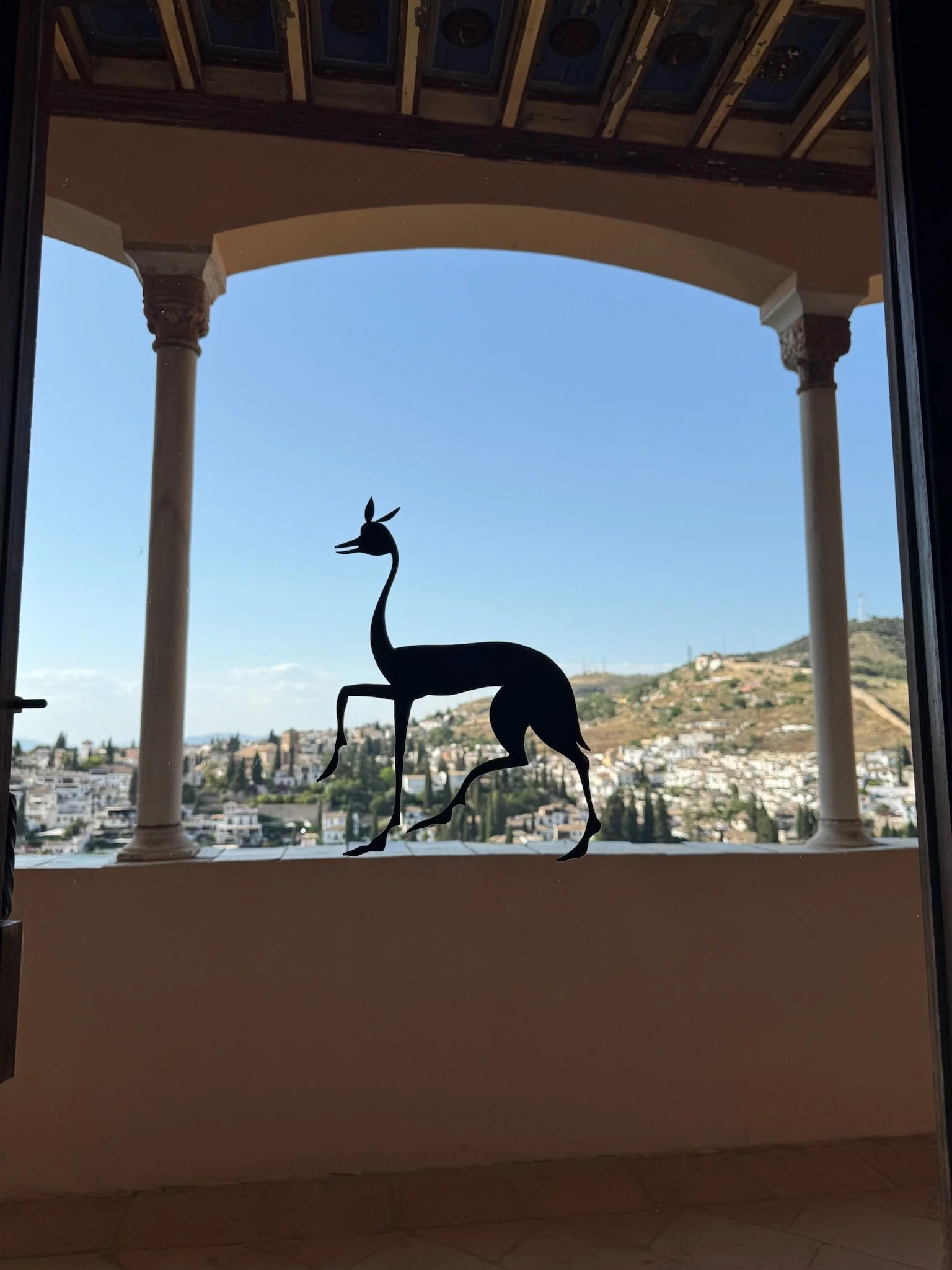 IMG_0582.jpeg