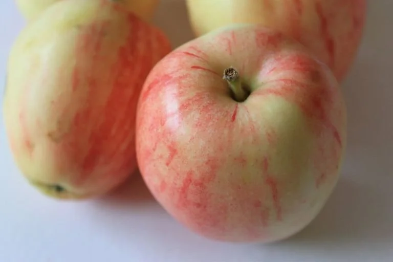 chenango strawberry 2.jpg