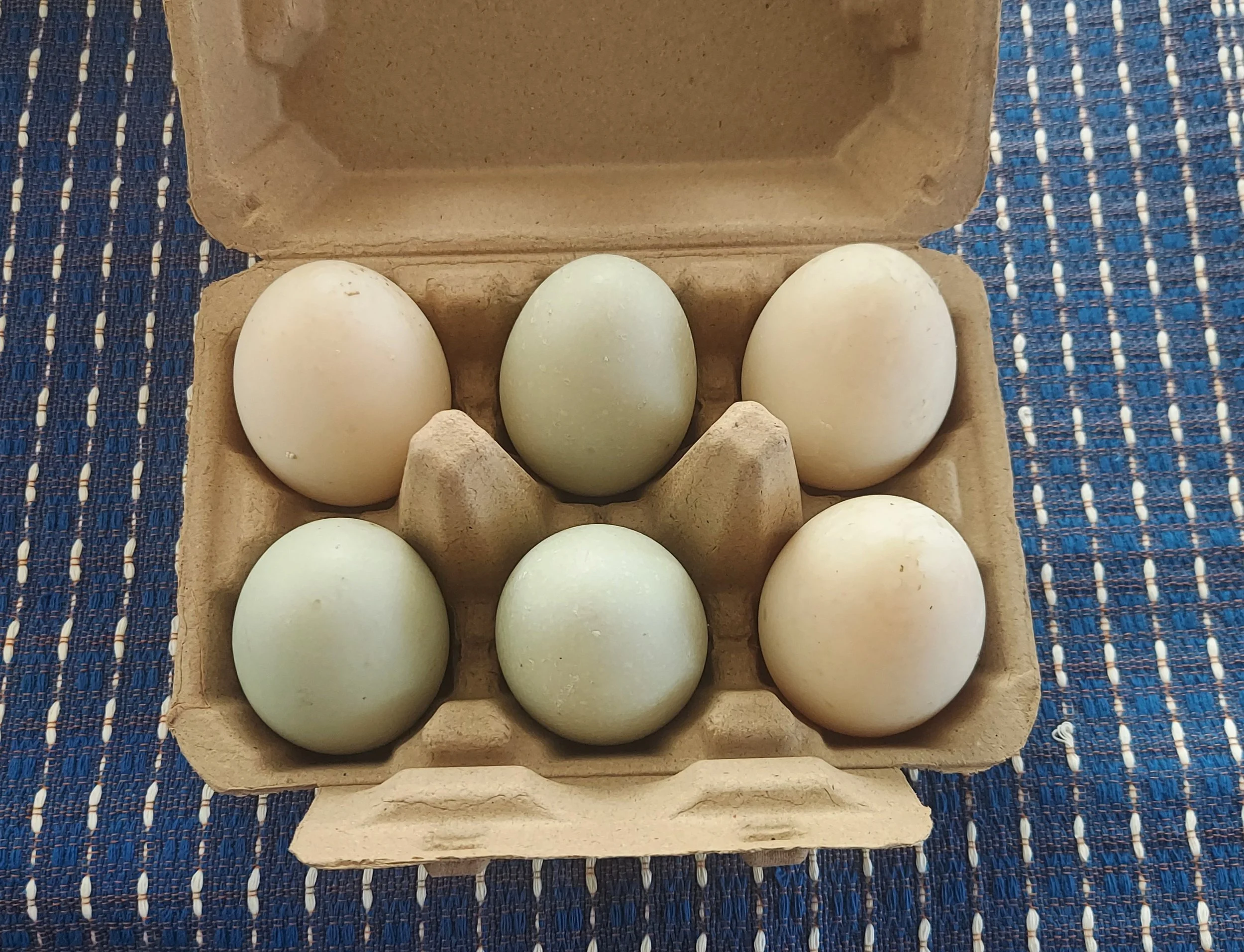 duck eggs.jpg